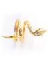 Anel de Ouro 18k Cobra Unissex com Rubi