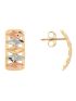 Brinco de Ouro 18k Feminino Tricolor Pace