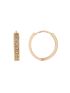 Brinco Feminino de Ouro 18k Argola