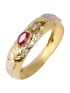 Anel de Formatura Ouro 18k An003