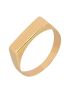 Anel de Ouro 18k Feminino Chapa